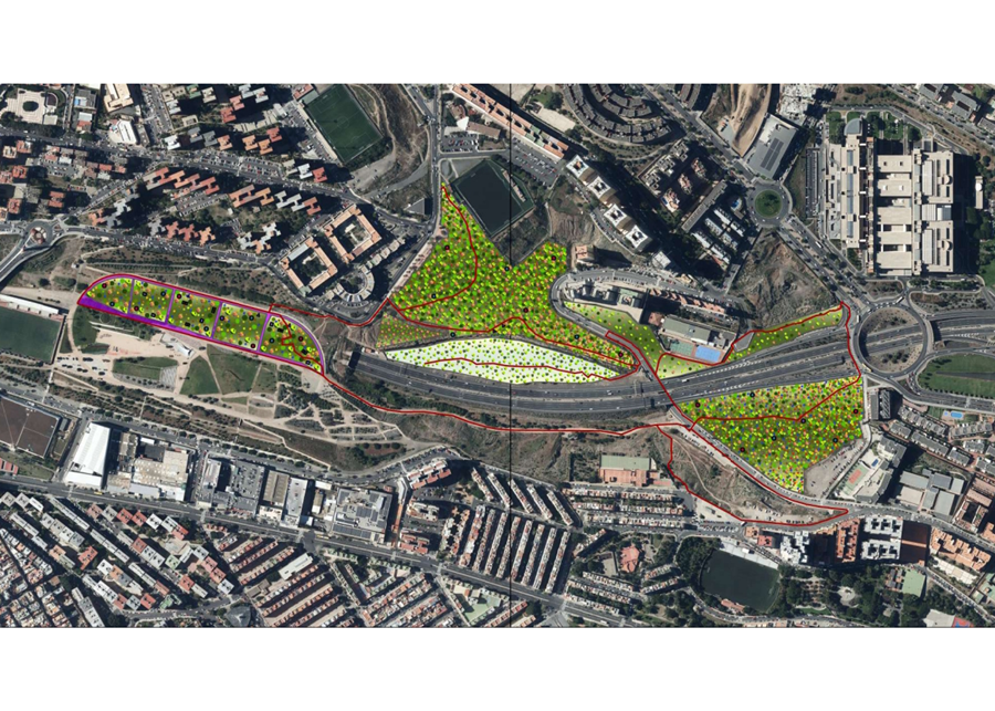 El Ayuntamiento licita la renaturalización del Barranco de La Ballena dentro del Corredor Verde