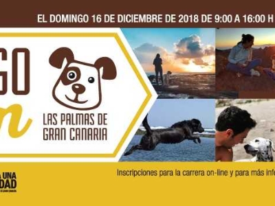 20181216 Amigo can LPGC 2018